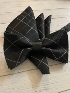 シルク　蝶ネクタイ　ポケットチーフセット　成人式　結婚式