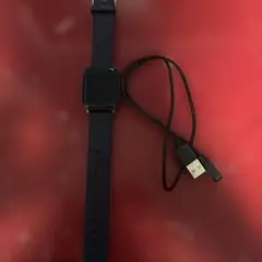 スマートウォッチ 本体 充電ケーブル付き