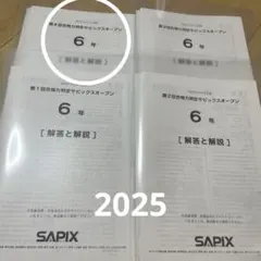 2026年最新】サピックステキストの人気アイテム - メルカリ