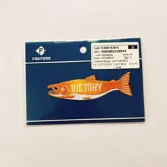 2026年最新】しゃけまる ワッペンの人気アイテム - メルカリ