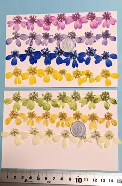 押し花、オルレア（染め）