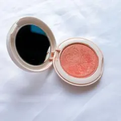 PAUL & JOE パウダー　ブラッシュ　リミテッド　001カラーチーク