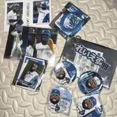 ファイターズ レイエスグッズセット