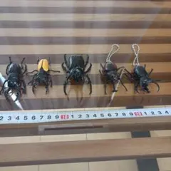 昆虫フィギュア ５体セット キーホルダー付きのものもあります。