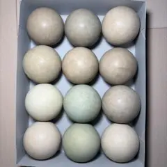 Item thumbnail for item 5f984639-c164-41a4-94c4-8d305d26a970