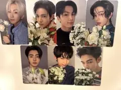 ENHYPEN weverse宵 ソロジャケ 特典 7枚セット