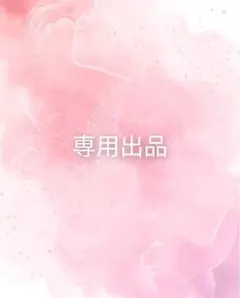 専用出品