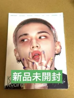 【未開封】 Straykids スキズ Accordionver ヒョンジン