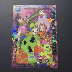 希少☆デジモンアドベンチャー キラカード アマダ 太刀川ミミ