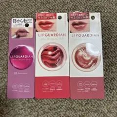 LIPGUARDIAN リップガーディアン 3点セットのサムネイル