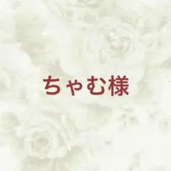 ちゃむ様 リクエスト 3点 まとめ商品
