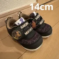 Item thumbnail for item b172604d-f3c5-4f84-96f6-4fd22d10c194