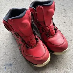 Item thumbnail for item bda1f5fc-68e6-4849-80c5-482daba28d85