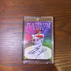 Item thumbnail for item 2a321941-f50c-4237-98a2-1663675c92bb