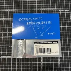 straykids グッズ特典カード チャンビン