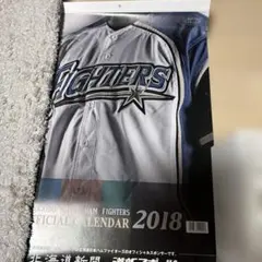 北海道日本ハムファイターズ 道新スポーツ非売品カレンダー 2018〜2022