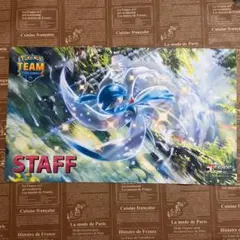 m*i様 【公式/海外限定】ゲッコウガ CHAMPION チャンピオン プレイマ
