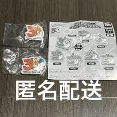 ポケモン30周年 メタルチャームマスコット ヒトカゲ・リザードン
