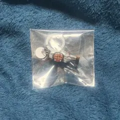 仮面ライダーカブト めじるしアクセサリー