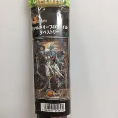 ヴァルキリープロファイル B2ポスター2種セット 貴重 - メルカリ