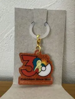 ポケモン 30周年 ポケチャーム ロゴマスコット ヒノアラシ