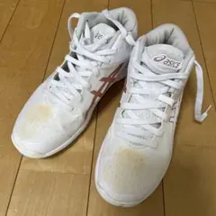 asicsバスケットシューズ LADY GELFAIRY 8ホワイト