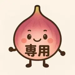 ヒデ【プロフ必読】 様専用 根出し苗 挿し木苗イチジク いちじく 苗