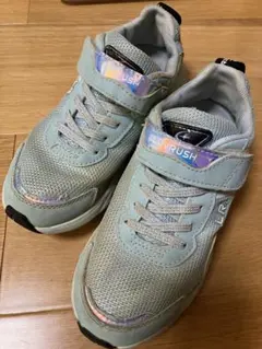 Item thumbnail for item 8be13d41-0195-4926-ad3a-be18a894a073