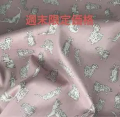 在庫終了　リバティ　ミャオウ　タナローン生地　50cm
