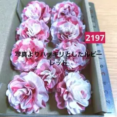 ソラフラワー　2197