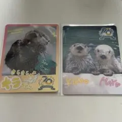 鳥羽水族館 コレクションカード レアカード45 メイ - メルカリ