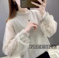 トップス　シアー袖　抜け感　立体ドット　ライトグレー　フェミニン　長袖　春　秋