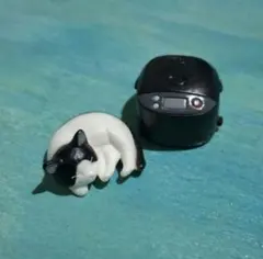 猫ガチャ☆吾輩の定位置(ポジション)