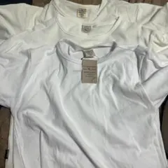 AVIREX USA ホワイト Tシャツ Lサイズ