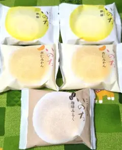 ④いのち　カスタードケーキ　れもん　杏仁みかん　珈琲みるく　生菓子のサムネイル