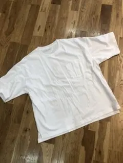 Item thumbnail for item 158c512d-afa2-44a0-9ddd-af8c26904014