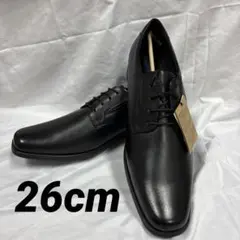 Item thumbnail for item c2daa1fd-8a61-472c-98e1-bb2d542dd317