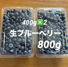 朝摘み生ブルーベリー800g（400g❎2）のサムネイル