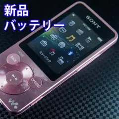SONY ウォークマン NW-S784 8GB 1211のサムネイル