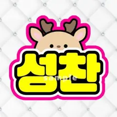 【メルカリ便】みの様専用　ソンチャンRIIZE ライズ　ネームボード蛍光色ver