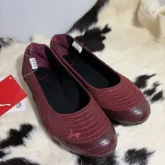 Item thumbnail for item f7b10f23-8a90-4921-ba95-c28677c87577