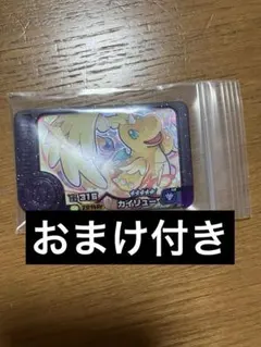 ポケモンフレンダ　ベストタッグ第4弾　メガカイリュー　スーパートレジャー