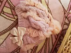 resexxy ファーベレー帽