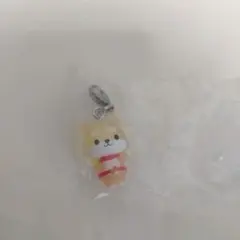 ジェオチャム　めじるしアクセサリー　まめちぃ