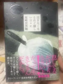 尾崎世界観 エッセイ 本