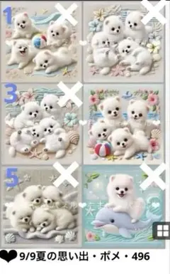 確認用　9/9夏の思い出ポメ・496 限定パネル