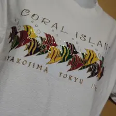 ONEITA(オニータ) 魚群 Tシャツ (新品)
