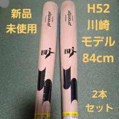 Item thumbnail for item 4dea846a-abe9-4637-b53c-59a30abb931a