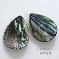 ev586/シェル◇アバロン ウェーブドロップ　2個