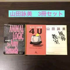 山田詠美 著作3冊セット